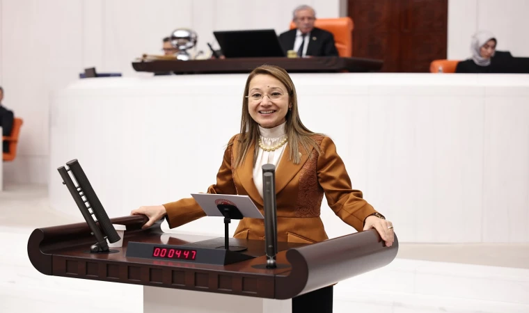 Derya Bakbak TBMM’de Konuştu: 464 Bin Nadir Eser Dijital Erişime Açıldı