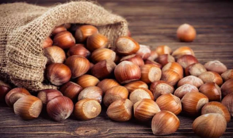 Fındık Fiyatlarında Rekor Seviye! 25 Şubat 2026 İl İl Fındık Kaç TL? Giresun ve Ordu Eşitlendi!