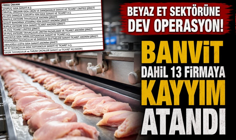 Beyaz Et Sektörüne Şafak Operasyonu! Banvit Dahil 13 Firmaya Kayyım