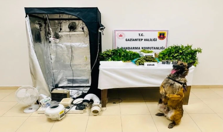 Gaziantep’te dev uyuşturucu operasyonu: 36 adrese şafak baskını