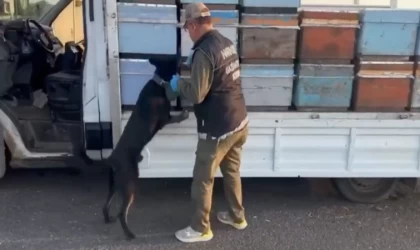 Bakan Yerlikaya’dan Narkogüç Operasyonu açıklaması: Zehir Tacirlerine hayatı zehir edeceğiz!