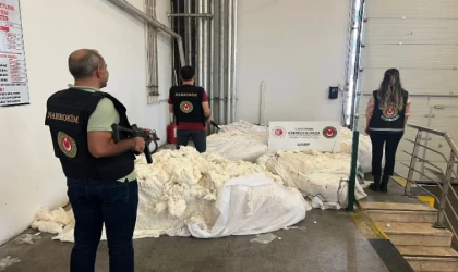 Pamuklara sardılar ama...