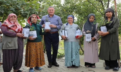Hatay’da 700 aileye daha fidan desteği