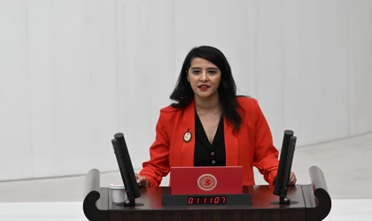 Karaca elektrik kesintilerine dikkat çekti: Halk perişan