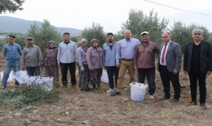 Manisalı üreticilere Büyükşehir desteği Saruhanlı’da sürdü
