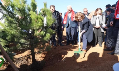 Büyükşehir ağaç dikimi yaptı