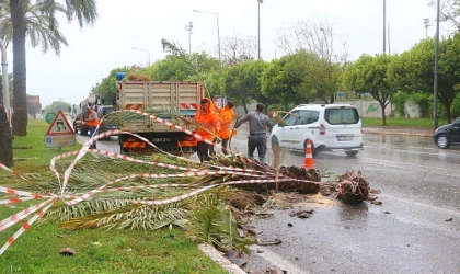 Antalya Büyükşehir’de 1200 personel fırtınada hazır bekledi