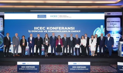 Globalde nükleer ve güneş enerjisi yükselişte