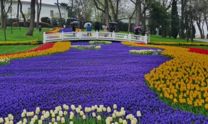 İstanbul’da lale bayramı başlıyor