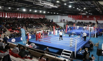 500 sporcu Düzce’de ringe çıkacak