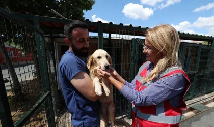 Bakırköy Belediyesi İnsan, Çevre ve Sokak Canlılarının Sağlığı İçin Çalıştı