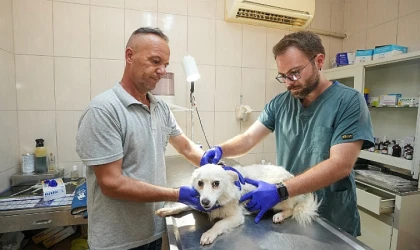 Gaziemir Belediyesi’nden 6 bin 222 can dosta şefkat eli