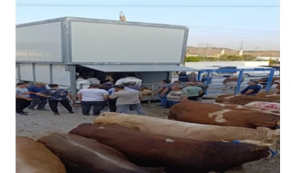 Büyükşehir’den bayramda güvenli ve hijyenik kesim hizmeti