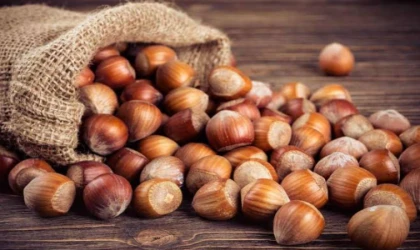 Fındık Fiyatlarında Rekor Seviye! 25 Şubat 2026 İl İl Fındık Kaç TL? Giresun ve Ordu Eşitlendi!