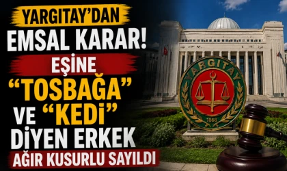 Yargıtay'dan Emsal Karar! Eşine "Tosbağa" ve "Kedi" Diyen Erkek Ağır Kusurlu Sayıldı