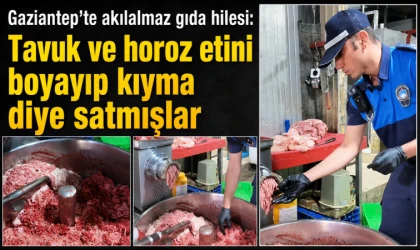 Gaziantep’te akılalmaz gıda hilesi: Tavuk ve horoz etini boyayıp kıyma diye satmışlar