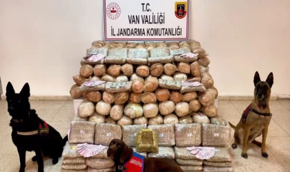 Van’da jandarma operasyonu: TIR’da 333 kilo skunk ele geçirildi